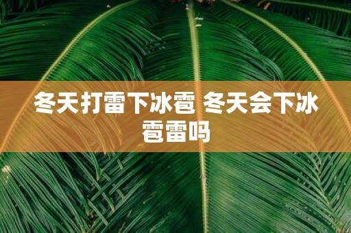 冬天打雷下冰雹 冬天会下冰雹雷吗