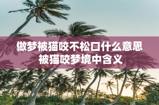 做梦被猫咬不松口什么意思 被猫咬梦境中含义