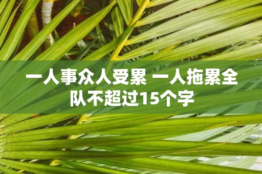 一人事众人受累 一人拖累全队不超过15个字