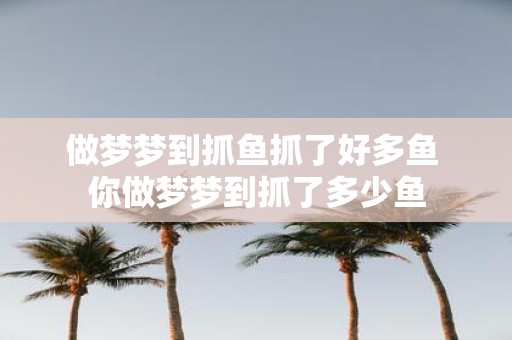 做梦梦到抓鱼抓了好多鱼 你做梦梦到抓了多少鱼