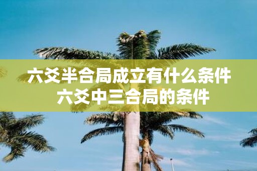 六爻半合局成立有什么条件 六爻中三合局的条件