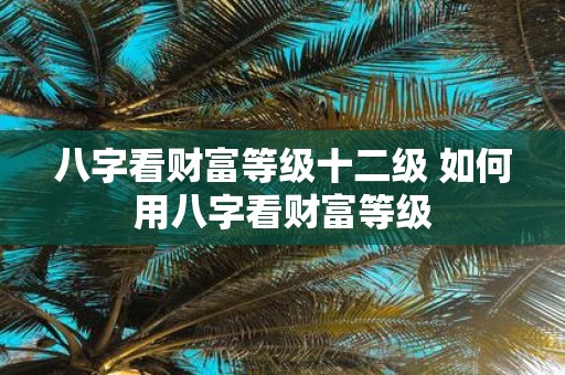 八字看财富等级十二级 如何用八字看财富等级