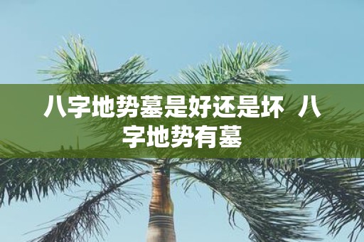 八字地势墓是好还是坏 八字地势有墓