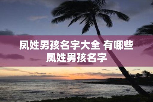 凤姓男孩名字大全 有哪些凤姓男孩名字