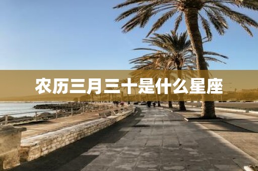 农历三月三十是什么星座