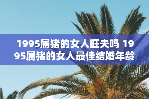 1995属猪的女人旺夫吗 1995属猪的女人最佳结婚年龄 1995属猪的女人旺夫吗 1995属猪的女人最佳结婚年龄