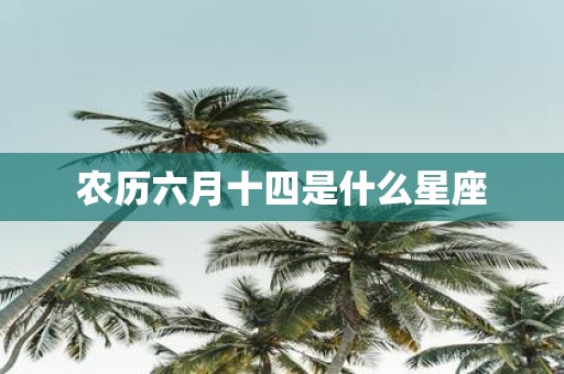 农历六月十四是什么星座