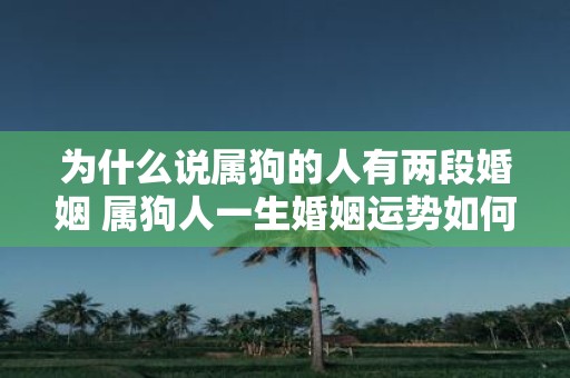 为什么说属狗的人有两段婚姻 属狗人一生婚姻运势如何
