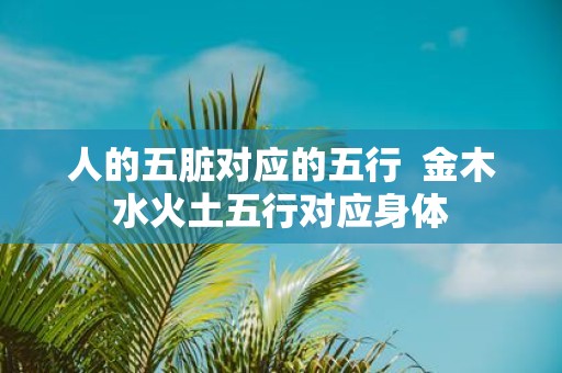人的五脏对应的五行 金木水火土五行对应身体