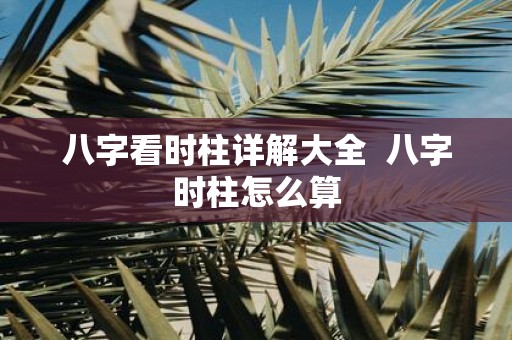 八字看时柱详解大全 八字时柱怎么算