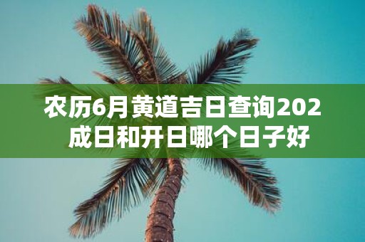 农历6月黄道吉日查询202 成日和开日哪个日子好