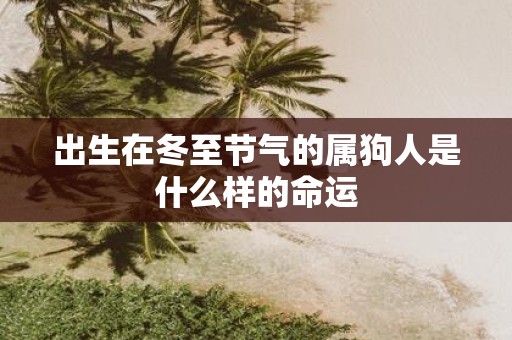 出生在冬至节气的属狗人是什么样的命运