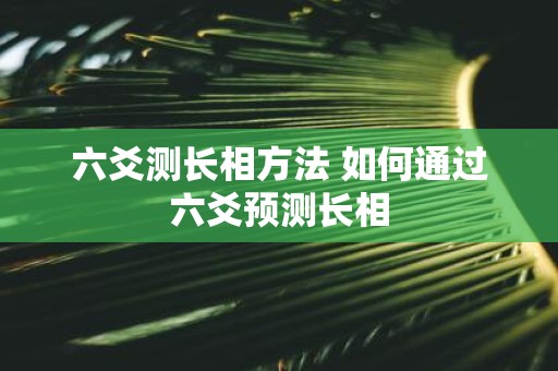 六爻测长相方法 如何通过六爻预测长相