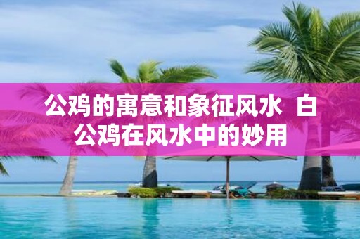 公鸡的寓意和象征风水 白公鸡在风水中的妙用