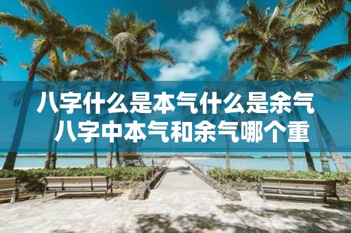 八字什么是本气什么是余气 八字中本气和余气哪个重要