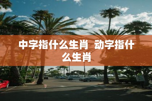 中字指什么生肖 动字指什么生肖