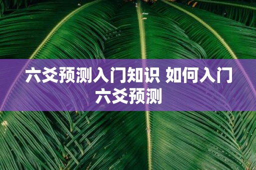 六爻预测入门知识 如何入门六爻预测