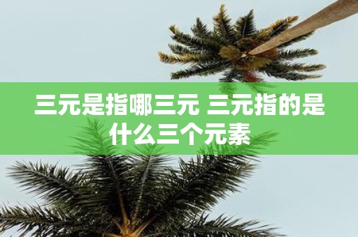三元是指哪三元 三元指的是什么三个元素