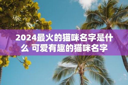 2025最火的猫咪名字是什么 可爱有趣的猫咪名字