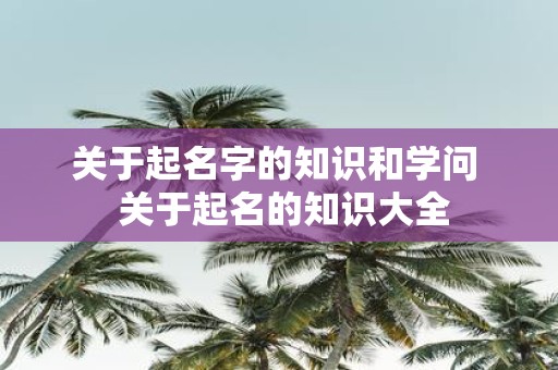 关于起名字的知识和学问 关于起名的知识大全