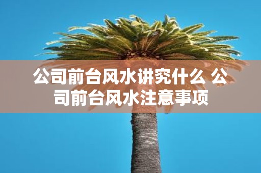公司前台风水讲究什么 公司前台风水注意事项