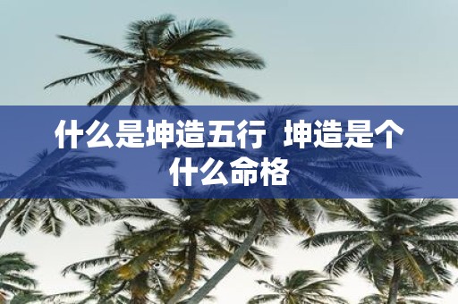 什么是坤造五行 坤造是个什么命格