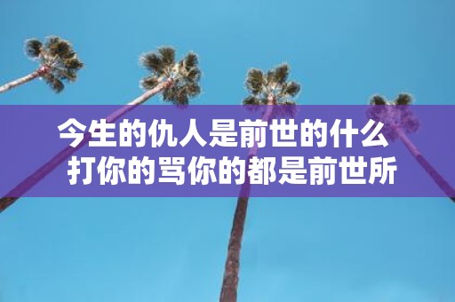 今生的仇人是前世的什么 打你的骂你的都是前世所害的