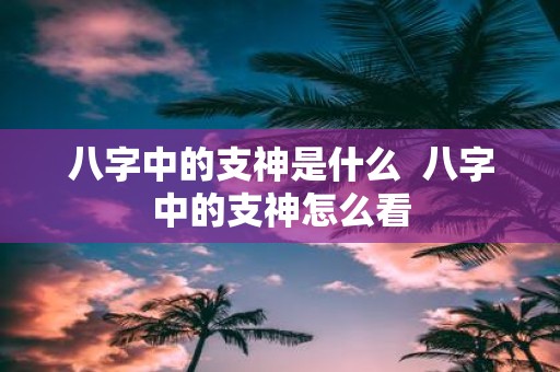 八字中的支神是什么 八字中的支神怎么看