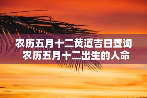 农历五月十二黄道吉日查询 农历五月十二出生的人命运