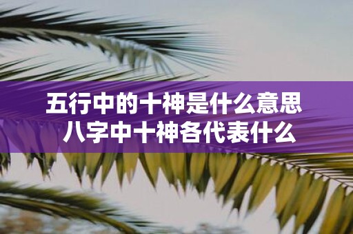 五行中的十神是什么意思 八字中十神各代表什么