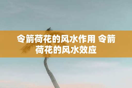 令箭荷花的风水作用 令箭荷花的风水效应