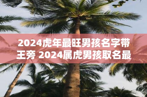 2025虎年最旺男孩名字带王旁 2025属虎男孩取名最佳字