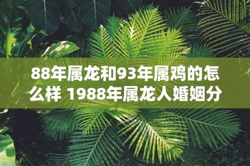 88年属龙和93年属鸡的怎么样 1988年属龙人婚姻分析