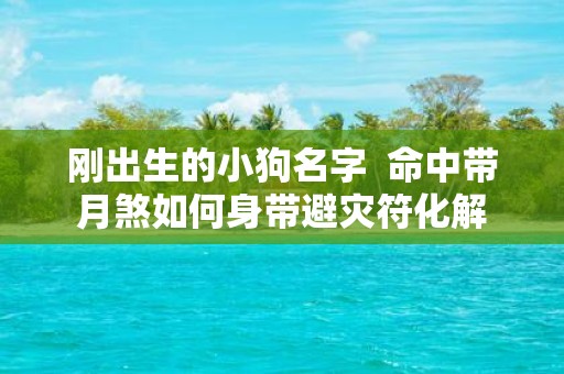 刚出生的小狗名字 命中带月煞如何身带避灾符化解