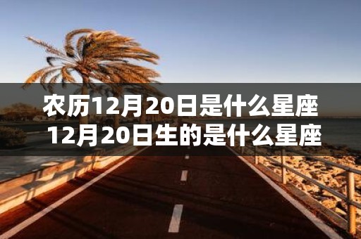 农历12月20日是什么星座 12月20日生的是什么星座