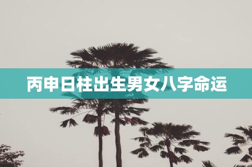 丙申日柱出生男女八字命运