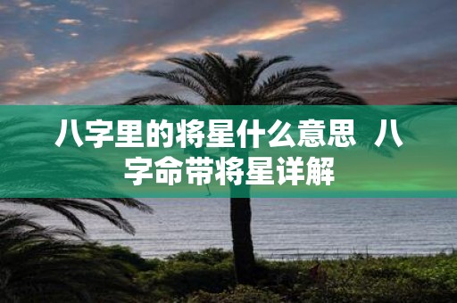 八字里的将星什么意思 八字命带将星详解