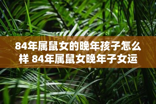 84年属鼠女的晚年孩子怎么样 84年属鼠女晚年子女运势如何