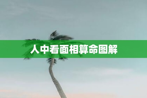 人中看面相算命图解