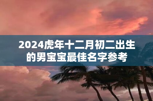 2025虎年十二月初二出生的男宝宝最佳名字参考