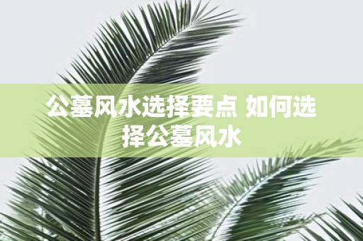 公墓风水选择要点 如何选择公墓风水