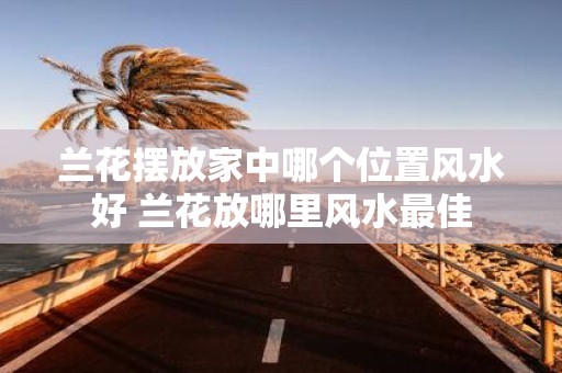兰花摆放家中哪个位置风水好 兰花放哪里风水最佳