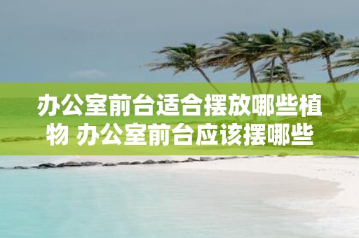办公室前台适合摆放哪些植物 办公室前台应该摆哪些植物