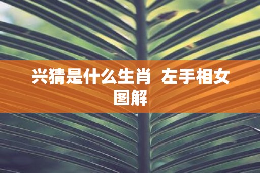 兴猜是什么生肖 左手相女图解