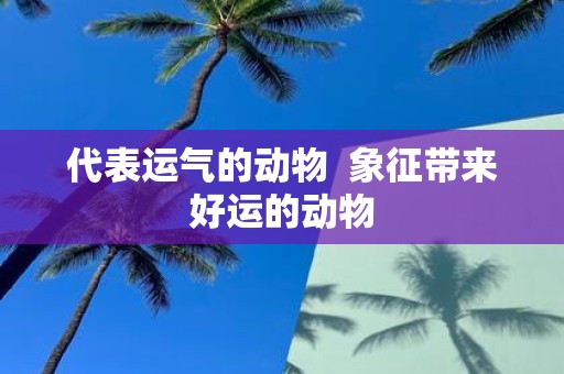 代表运气的动物 象征带来好运的动物