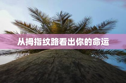 从拇指纹路看出你的命运