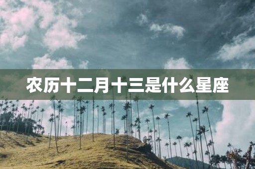 农历十二月十三是什么星座