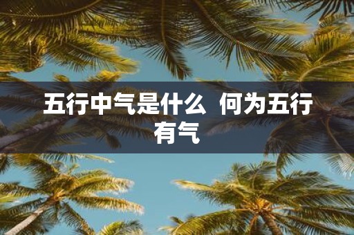 五行中气是什么 何为五行有气