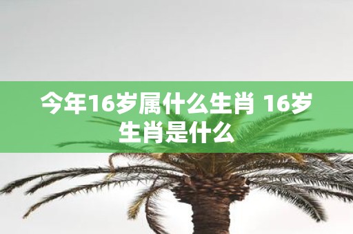 今年16岁属什么生肖 16岁生肖是什么
