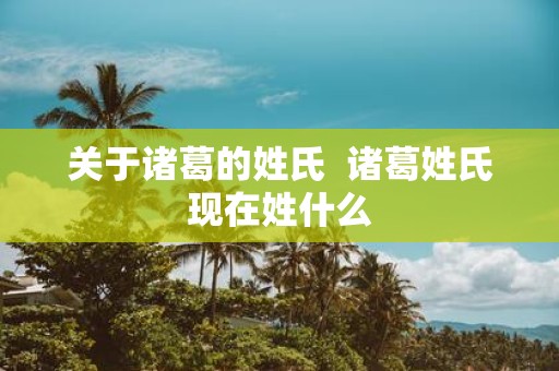 关于诸葛的姓氏 诸葛姓氏现在姓什么